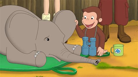 Watch Curious George Season 10 Streaming Online | Peacock