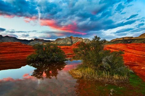 Snow Canyon State Park - Jeremiah Barber Photography