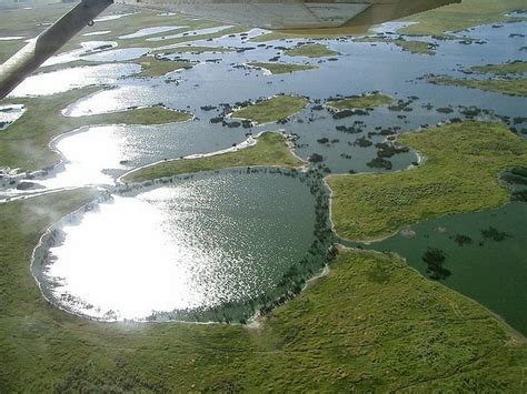 Pantanal, The World’s Largest Freshwater Wetland | Amusing Planet