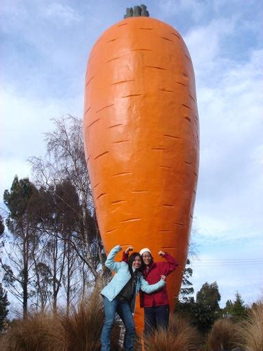 Worlds Largest Carrot in Ohakune, Manawatu-Wanganui, New Zealand