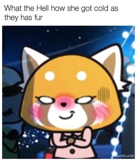 Top aggretsuko Meme of mine! | Dank Memes Amino