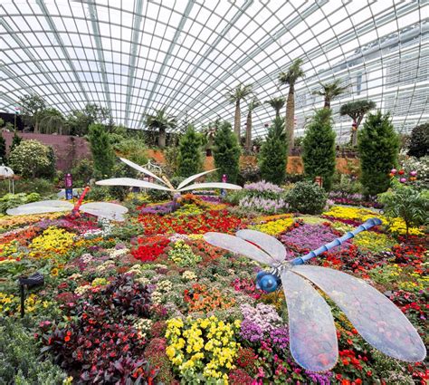 Singapore garden, Gardens by the bay, Front yard landscaping design