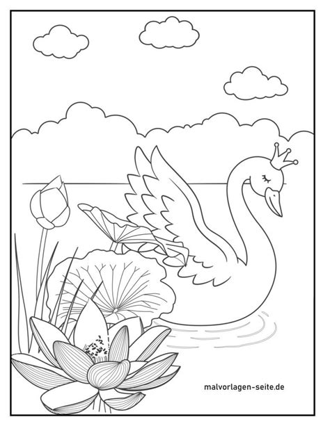 Baby Swan Coloring Pages