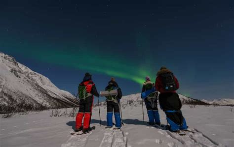 From Tromsø: Night Snowshoeing Tour | GetYourGuide