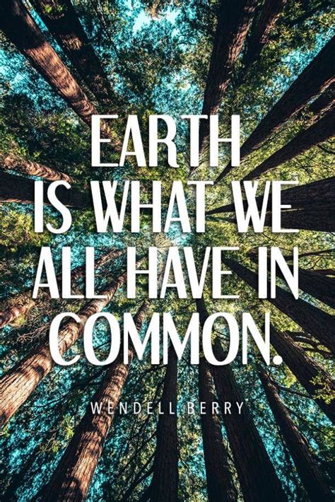 40 Best Environmental Quotes To Inspire You To Do Your Part To Save The ...