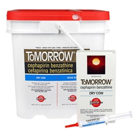 ToMORROW® Dry Cow Mastitis Treatment | Florida Farm & Feed, Inc.