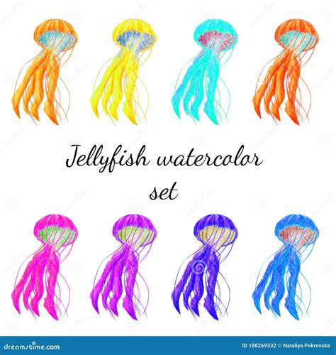 Colorful Jellyfish Tentacles