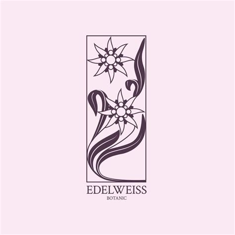 Edelweiss logo. Flower design of the logo with a hand-drawn flower of Edelweiss 4993249 Vector ...