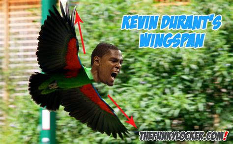 What is Kevin Durant's Wingspan? How Long are his Arms?