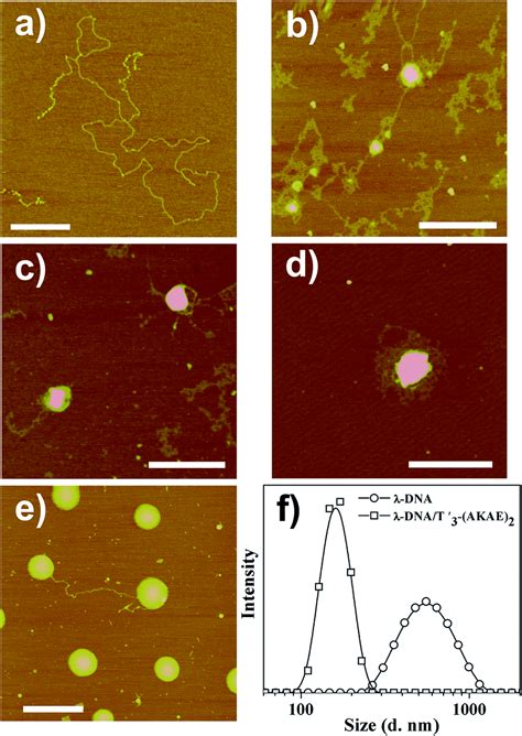 Peptide nucleic acid-ionic self-complementary peptide conjugates: highly efficient DNA ...