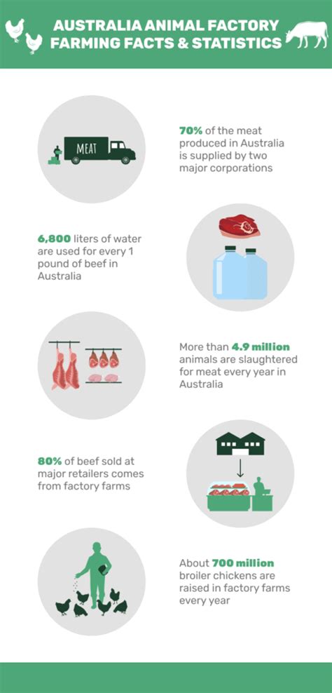 16 Disheartening Australia Animal Factory Farming Statistics in 2023 ...