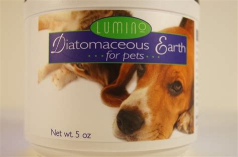 Is Diatomaceous Earth Safe for Dogs and Will It Kill Fleas? Uses and Facts | PetHelpful