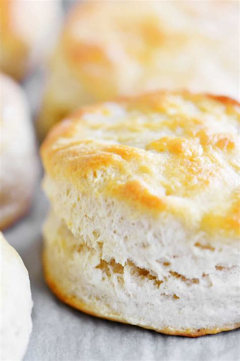 22+ Recipe For Hardees Biscuits - JonesIskra