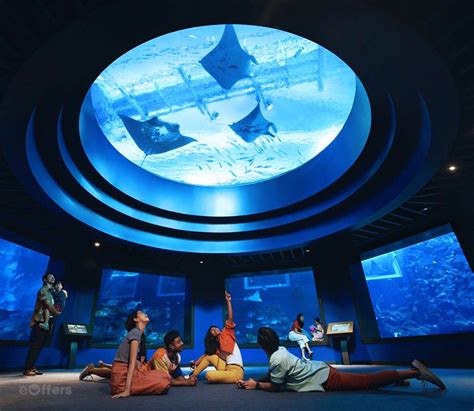 S.E.A. Aquarium Ticket | we-offers.com