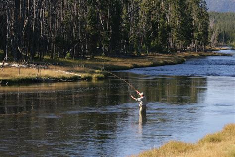 Fly Fishing