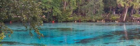 Silver Glen Springs, Ocala National Forest – Florida Hikes