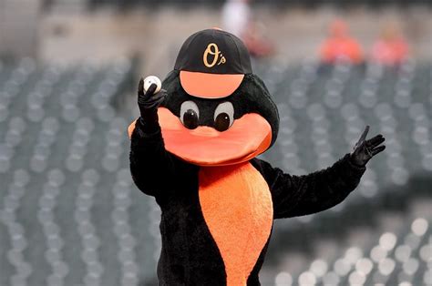 Orioles Mascot Is Headed To The Hall Of Fame | WIAD-FM