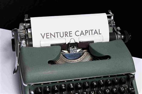 Venture Capital Investment: Examples, Cases, Problem Solving