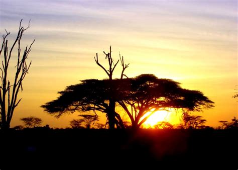 Sunrise In Africa Wallpapers - Wallpaper Cave