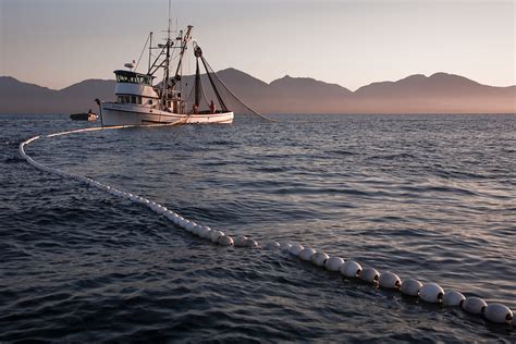 Seine fishing boat at Lucky Cove near Ketchikan, Alaska. | Clark James ...