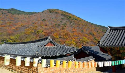 Beomeosa: Busan’s Temple of Fighting Monks - Travelogues from Remote Lands