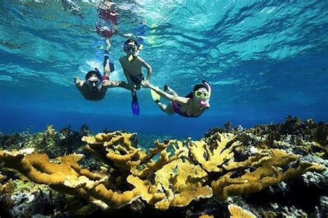 Private Snorkeling Aruba: Aruba Attractions Review - 10Best Experts and Tourist Reviews