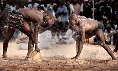 Mustache Pervert — kemetic-dreams: The “Laamb” Traditional... | African history, Sports fights ...