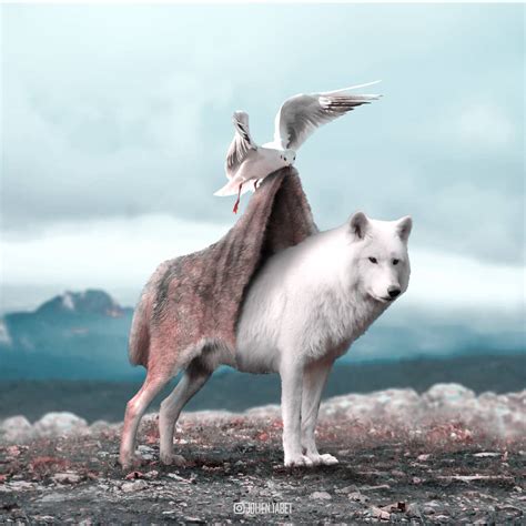 Surreal Animal Photo Manipulation by French Artist Julien Tabet