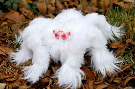 Albino wooly tarantula - 9GAG