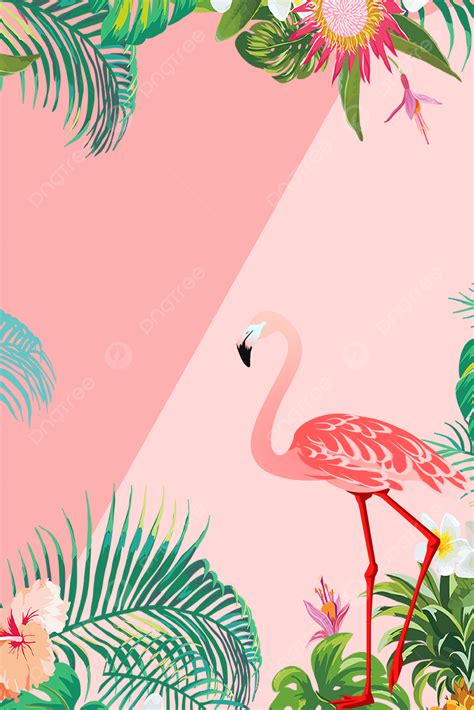 Flamingo Background Images, HD Pictures And Wallpaper For, 46% OFF