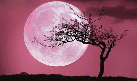 The Wiccan Life: Pink Full Moon tonight!