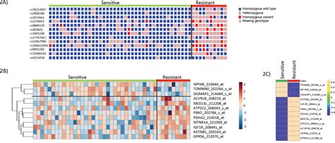 Genome-wide association analysis identifies SNPs predictive of in vitro leukemic cell ...
