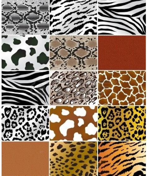 Why animal Prints are always a Favorite | Animal print, Animal prints pattern, Prints