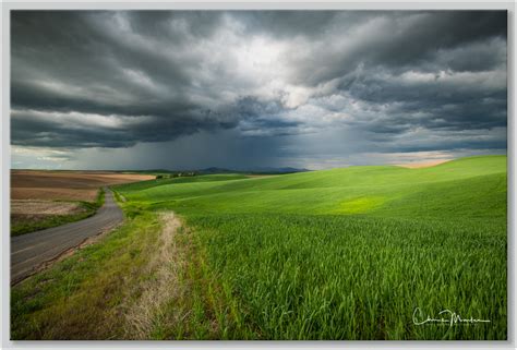 Photography Guide to the Palouse | Chris Marler Photography