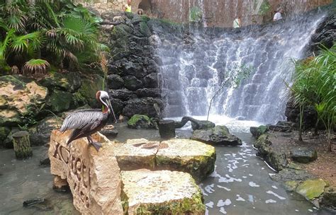 Xcaret-Park-1 - World Travel Toucan