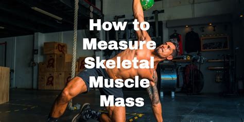 How to Measure Skeletal Muscle Mass - StayOnTheCourt.Com