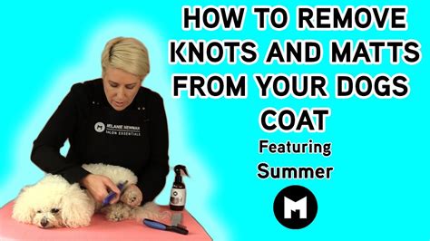 How to remove knots and matts from your dogs coat - YouTube