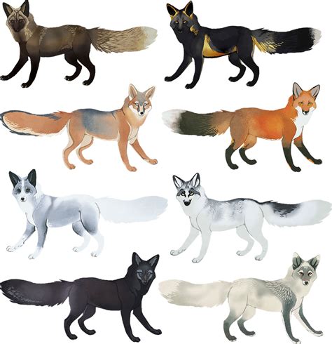 Fox Colors I | Canine art, Fox art, Animal art