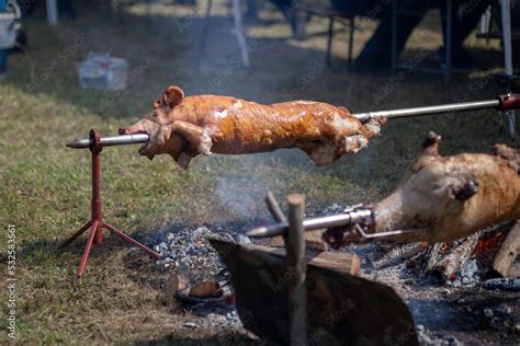 Whole pig roasted on a barbecue spit. Outdoor Barbecue grill a classic ...