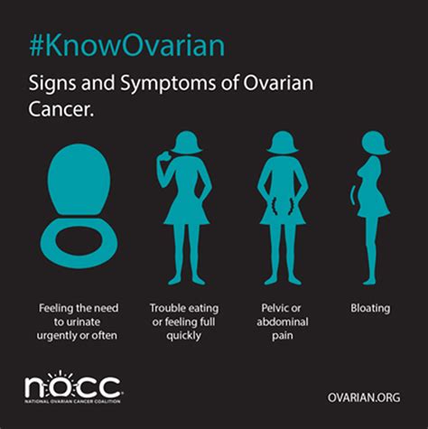 Signs and Symptoms of Ovarian Cancer- What you Need to Know - View Blog ...