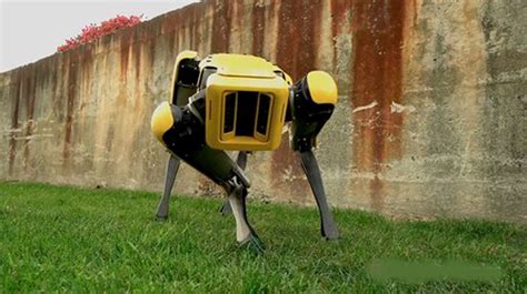 El perro robot de Black Mirror es una realidad gracias a Boston Dynamics