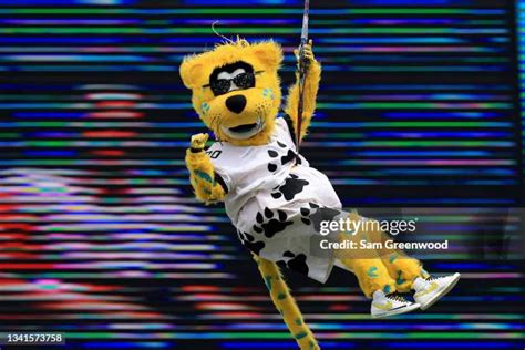 Mascot Jaxson De Ville Photos and Premium High Res Pictures - Getty Images