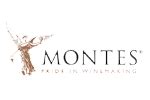 Villa Montes Central Valley Sauvignon Blanc White Wine 37.5cl