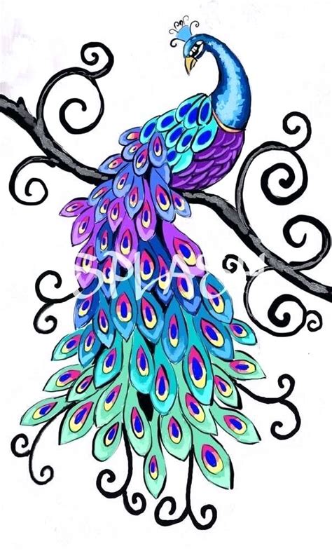 Peacock Cartoon Drawing | Free download on ClipArtMag