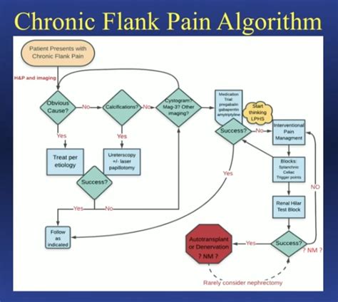 Wesley A. Mayer, MD | Recurrent Flank Pain | Treatment Algorithm