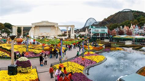 Everland – The Seoul Guide