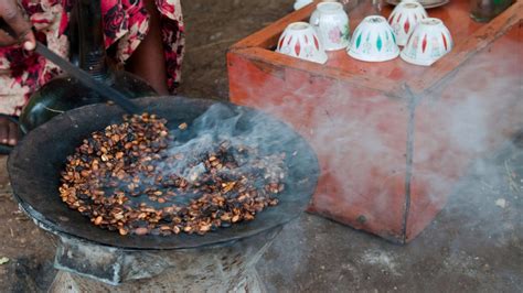 Visiting the Birthplace of Coffee: Jimma, Ethiopia