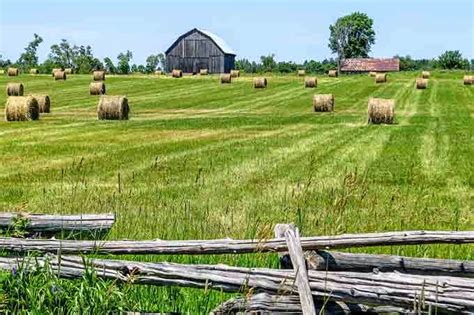 East Gwillimbury CameraGirl: Haying Season