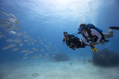 What Is Scuba Diving? (Explained Briefly)