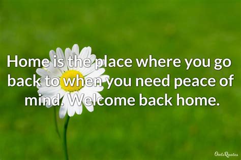 30 Welcome Back Home Quotes